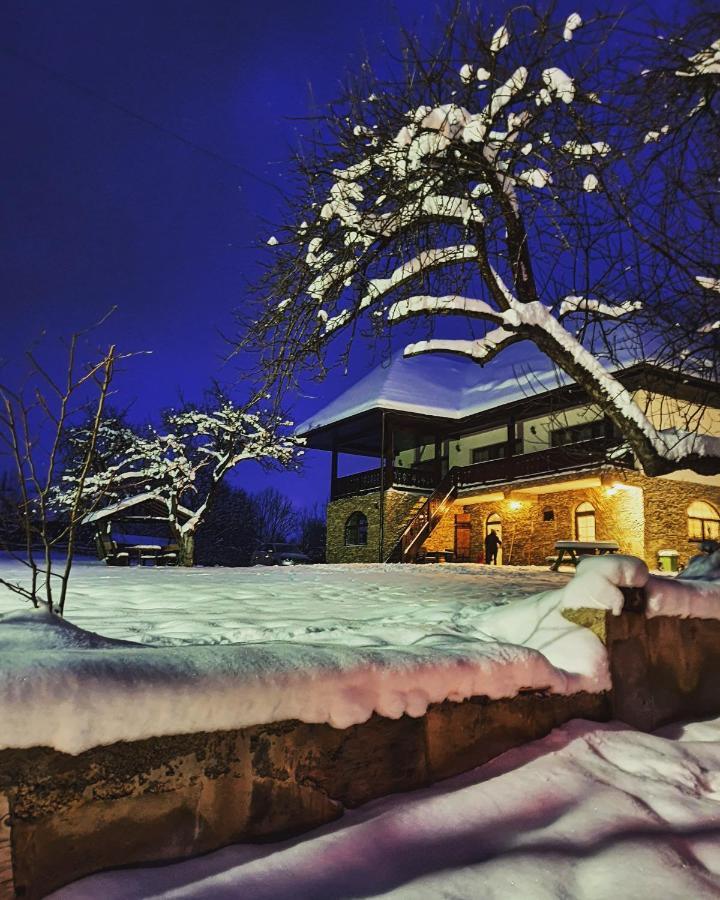Casa Mesterului Sohodol  Esterno foto