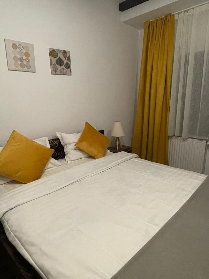 Casa Mesterului Sohodol  Esterno foto