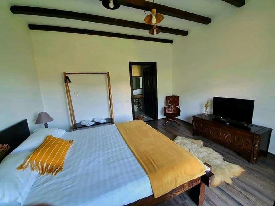 Casa Mesterului Sohodol  Esterno foto